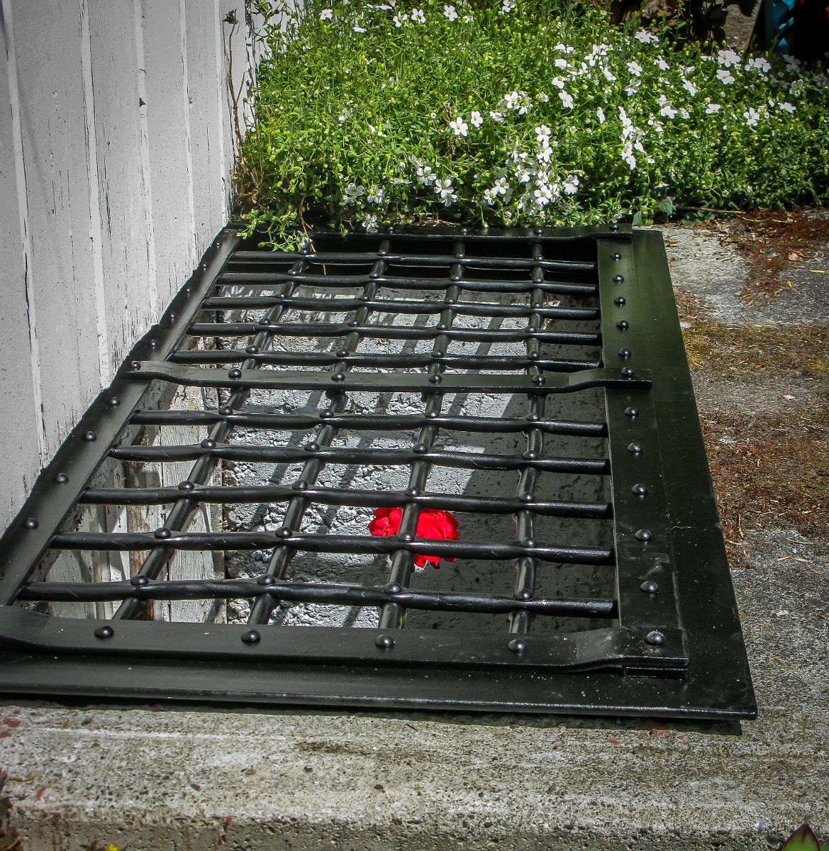 Window Graters Basement Window Grates