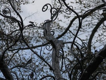 Iron Monkey - Rainier Vista Tree