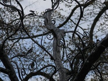 Iron Monkey - Rainier Vista Tree